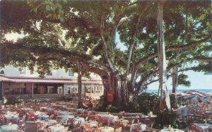Waikiki Hawaii Moana Hotel Banyan Tree, Hawaii Calls Chrome Postcard Unused