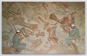 Animal~Reliefing Fossil Dinosaur Bone~Dinosaur Natl Monument Utah~Vintage PC