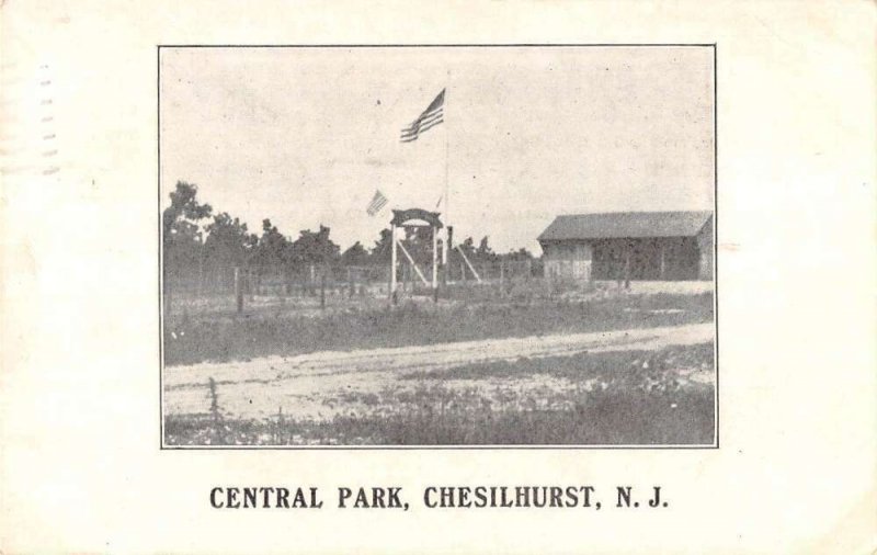 Chesilhurst New Jersey view from street of Central Park vintage pc