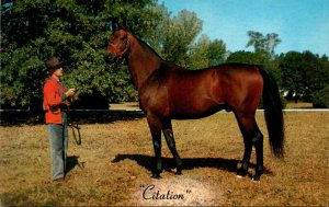 Kentucky Lexington Calumet Farm Citation Triple Crown Winner