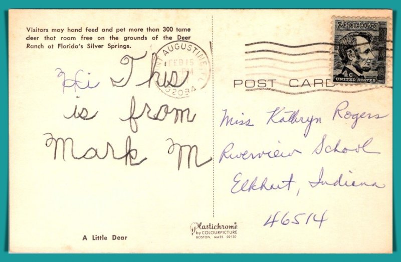 Florida, Silver Springs - Tame Deer - [FL-884]