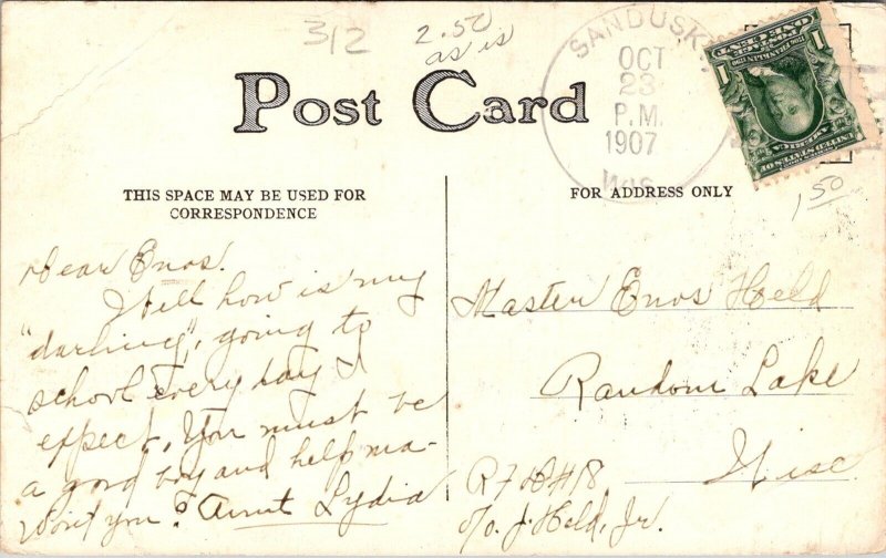 Hunting Dogs c1907 Vintage Postcard W60