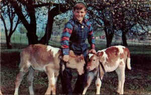 Cows Young Boy With Calves Posing 1953