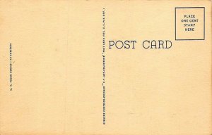 C-635 Ray Walters Comic  Shake Your Tail And Write Me Dog Curt Teich Postcard