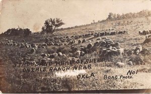 Oklahoma Sheep Ranch Real Photo Vintage Postcard AA44982