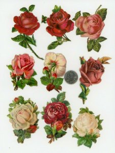 Victorian Die-Cuts 1870's-90's Floral Flowers Lot Of 16 Fab! X41