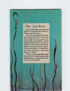 Postcard The Sea Horse