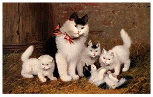 Cat ,  Mother and Kittens A proud mother