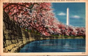 Washington D C Washington Monument and Cherry Blossoms From The Tidal Basin 1950