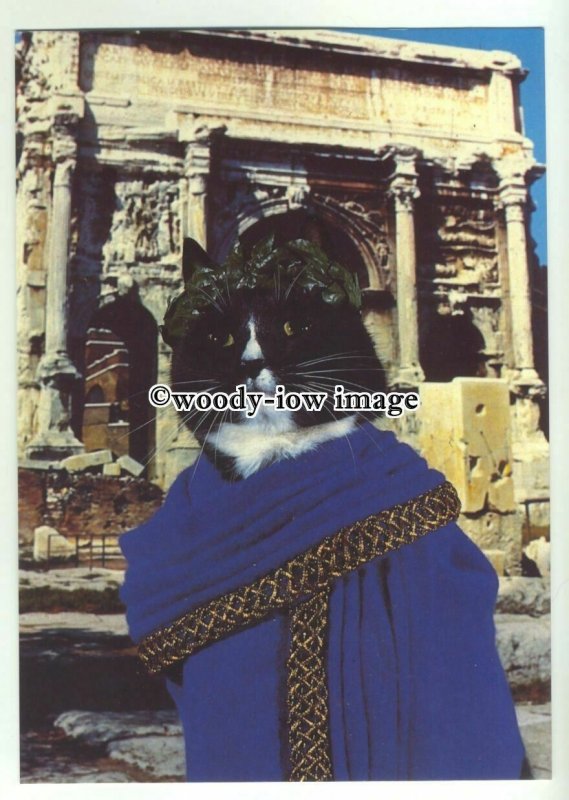 su2590 - Cat Empire Card - Black & White Roman Senator Cato Cat - postcard 