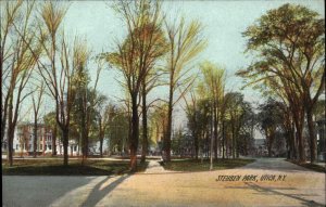 Utica New York NY Steuben Park Trees Walkways 1900s-20s Vintage Postcard