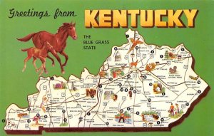 Greetings from KY, USA The Blue Grass State Map Unused 