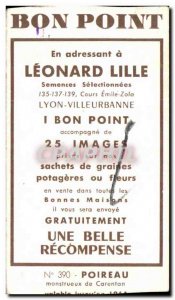 Image Flowers Leonard Lille Leek