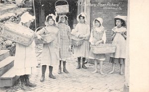 Womelsdorf Pennsylvania The Bethany Bean Pickers, Undivided Back PC U11640