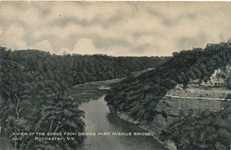 Genesee River Gorge From Driving Avenue Park Bridge Rochester New York pm 1909