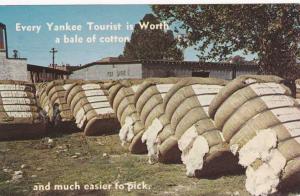 Every Yankee Tourist is Worth a Bale of Cotton And Easier to Pick Alabama Humor