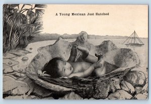 Mexico Postcard A Young Mexican Just Hatched Baby Scene c1910 Unposted