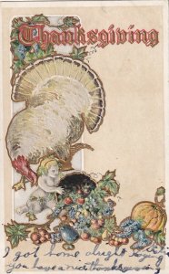 THANKSGIVING, PU-1906; Wild Turkey, Cherub, Cornucopia