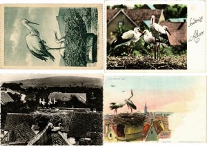 STORKS CIGOGNES Birds 500 Vintage Postcards Mostly pre-1940 (L2840)