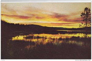 Scenic View, Sunset on the Water, Beaver Dams at Sunset, Little Bar Lake, Bri...