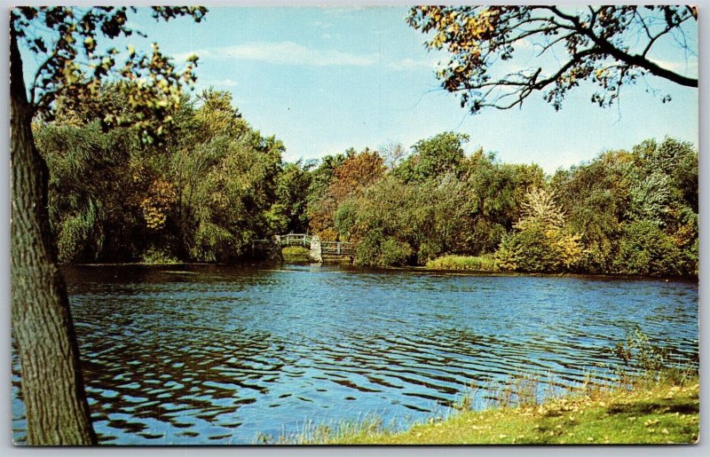 Vtg Greetings from Green Bay Wisconsin WI Autumn Lake Scene 1950s View Postcard