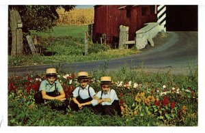 PA - Amish/Mennonite Culture. Amish Boys