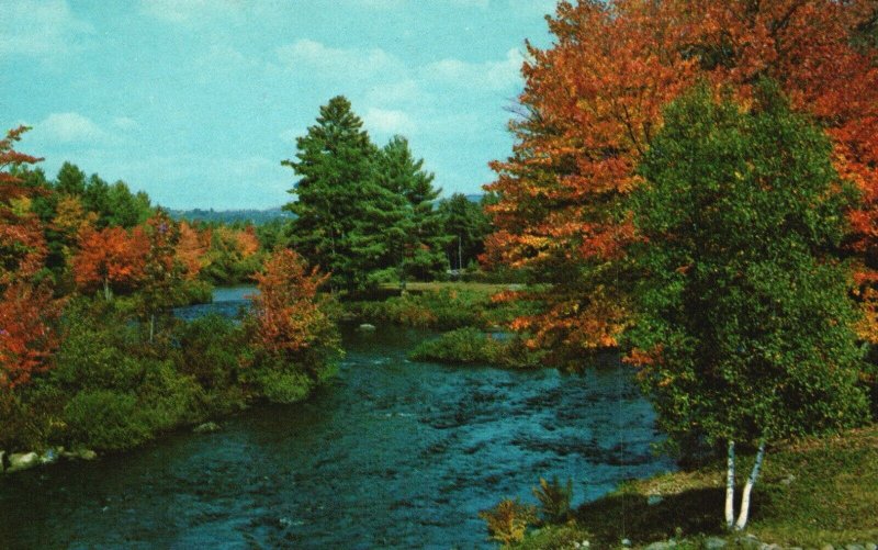 Vintage Postcard Colorful Trees Fall Leaves Turning Colors Stream Flowing