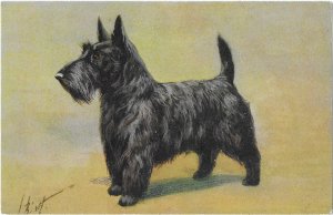 A Fine Scottish Terrier Scotty Dog