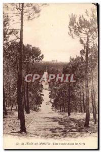 Old Postcard St Jean de Monts A Road in the Forest