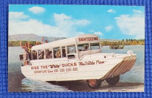 White Ducks Velda Rose Sightseeing Boat Lake Hamilton Hot Springs AR Postcard