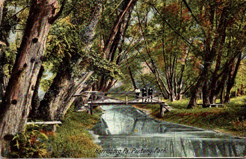 Pennsylvania Harrisburg Scene In Paxtang Park 1907