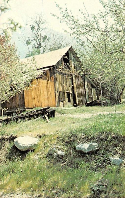 YUCAIPA, CA California   PARRISH PIONEER RANCH~Apple Ranch   Chrome Postcard