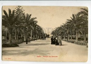 3083198 SPAIN Cadiz Parque de Genoves Vintage PC