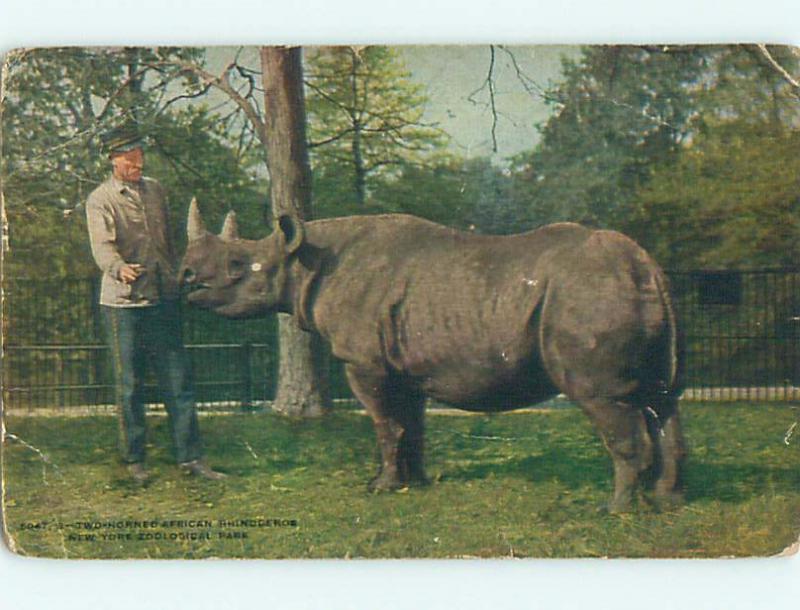 Unused Divided-Back RHINOCEROS AT BRONX ZOO Bronx New York NY r7855