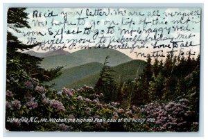 1906 Mt Mitchell The Highest Peak Asheville NC Shannanga NC Postcard