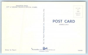 2 Postcards GRANDE PRAIRIE, Alberta Canada ~ COURT HOUSE & Trumpeter Swan 1960s