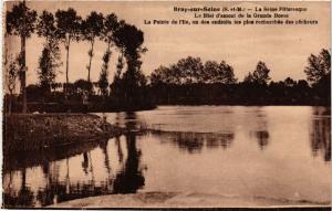 CPA BRAY-sur-SEINE - La SEINE Pitt. - Le Biet d'amont (436661)