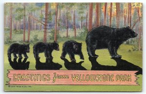 1940S YELLOWSTONE PARK GREETINGS FROM BEAR FAMILY LINEN POSTCARD P2731