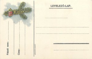 Hungary unposted patriotic postal stationery greetings postcard levelezo-lap 