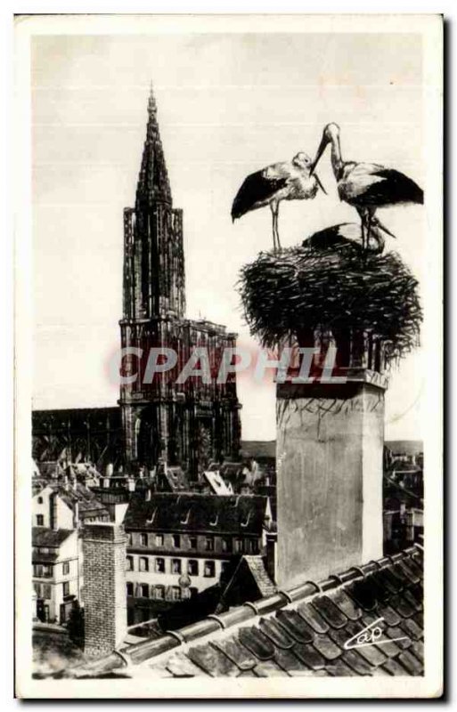 Old Postcard Strasbourg The Storks