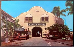 Vintage Postcard 1956 Municipal Aquarium, Key West, Florida (FL)