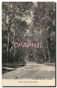 Old Postcard In the forest of Saint Cloud