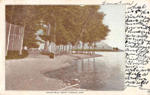 Otsego Lake New York Three Mile Point Shoreline Antique Postcard K101361