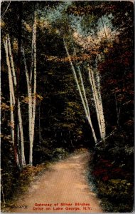 Gateway of Silver Birches Drive on Lake George NY c1914 Vintage Postcard O71