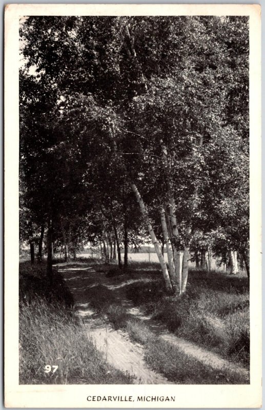 Cedarville Michigan MI, 1946 Wooded Pathway Scene, Trees, RPPC Photo, Postcard