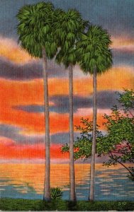 Mississippi Sunset Scene Along The Gulf Coast