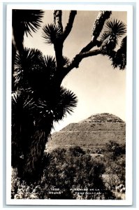 c1940's Teotihuacan Pyramid Mexico Vintage Unposted RPPC Photo Postcard