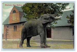 1913 Elephant In Zoo Buffalo New York NY, Animals Posted Antique Postcard