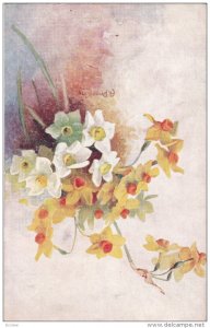 A. Price KING: Flowers NARCISSUS , 00-10s TUCK