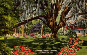 FL - Jacksonville. The Oriental Gardens